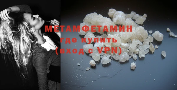 прущие грибы Лабытнанги
