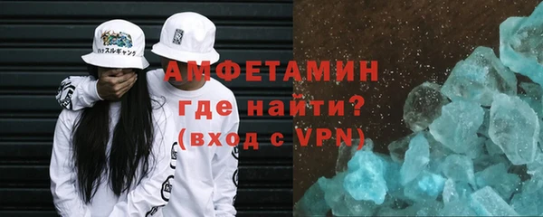 прущие грибы Лабытнанги