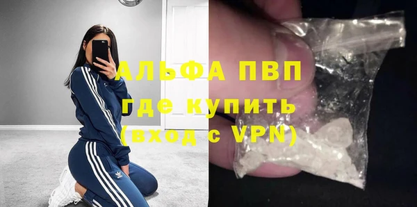 спиды Ладушкин