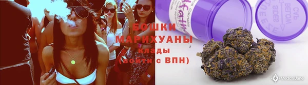 прущие грибы Лабытнанги