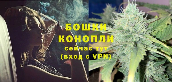 спиды Ладушкин