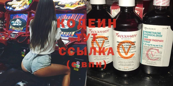 прущие грибы Лабытнанги