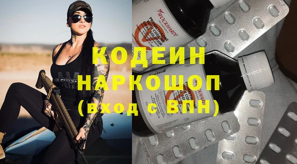 прущие грибы Лабытнанги