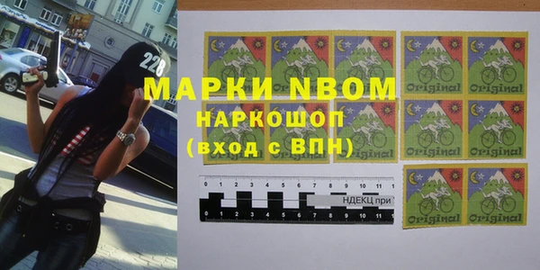 прущие грибы Лабытнанги
