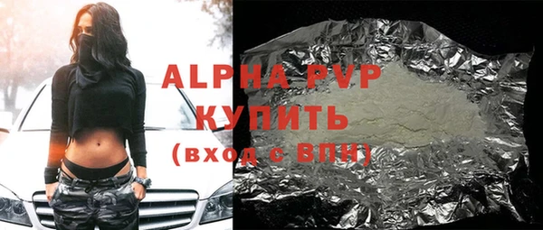 прущие грибы Лабытнанги