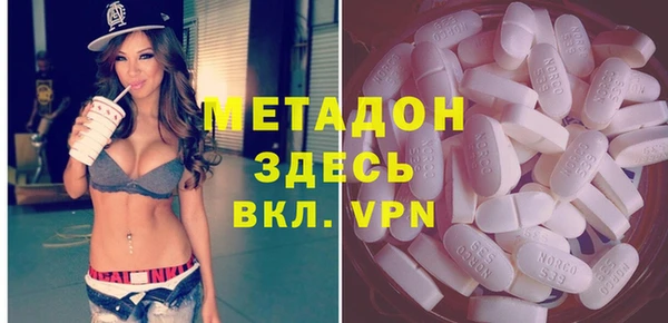прущие грибы Лабытнанги