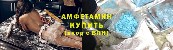 прущие грибы Лабытнанги