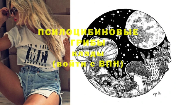 прущие грибы Лабытнанги