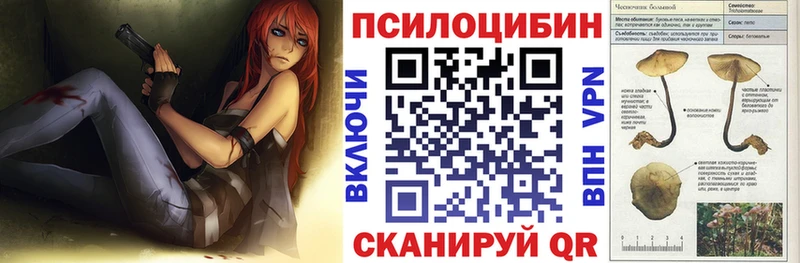 Галлюциногенные грибы GOLDEN TEACHER  Купить  Галич 